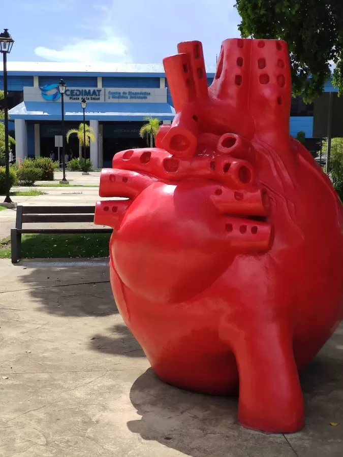 Cedimat Cardiovascular Center - Photo 3