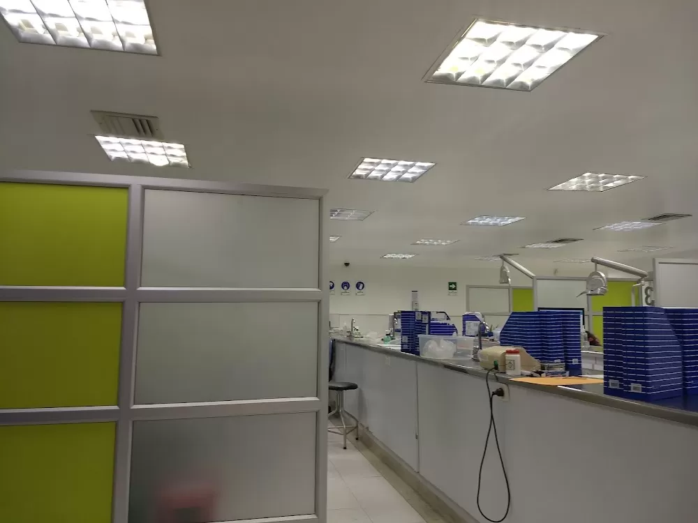 SURA IPS FLORA - Photo 6