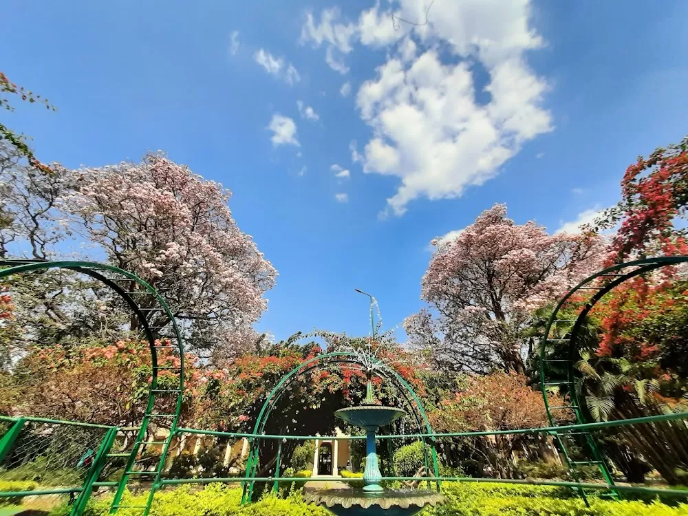 Department of Psychiatry, NIMHANS - Photo 7