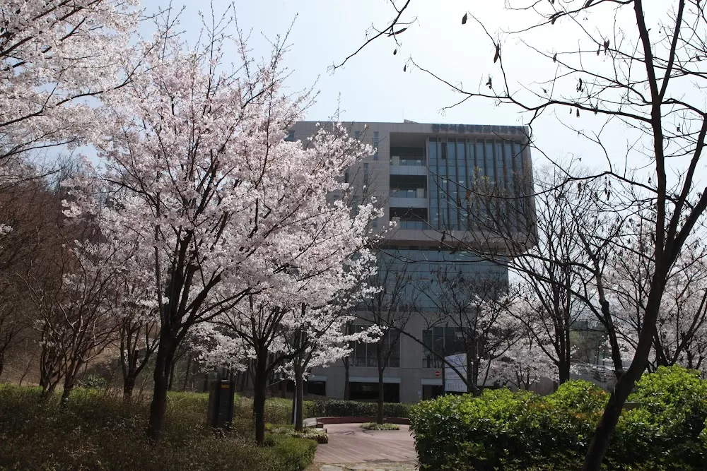 Gwanak Seoul National University Dental Hospital - Photo 8