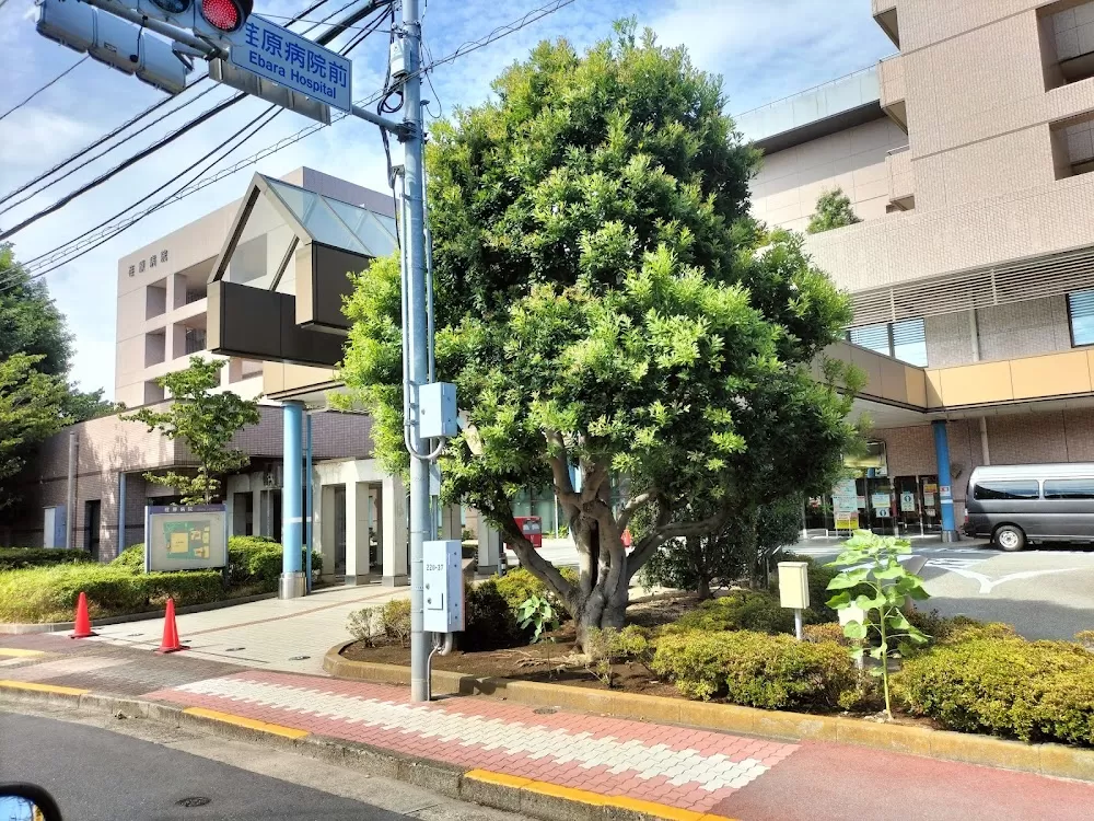 Ebara Hospital - Photo 5