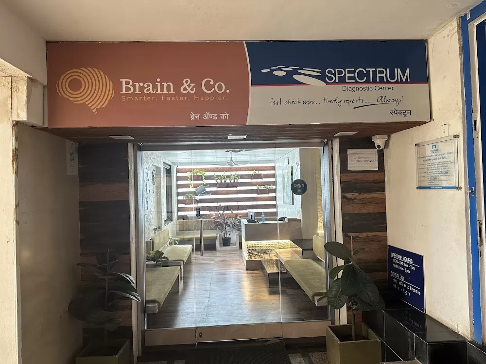 Brain & Co. - Photo 7