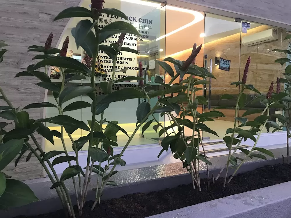 TEO ORTHOPAEDIC SPECIALIST CLINIC 新山张氏骨科专科与疼痛治疗诊所 - Photo 7