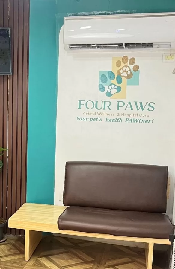Four Paws Animal Wellness and Hospital Corp - Photo 4