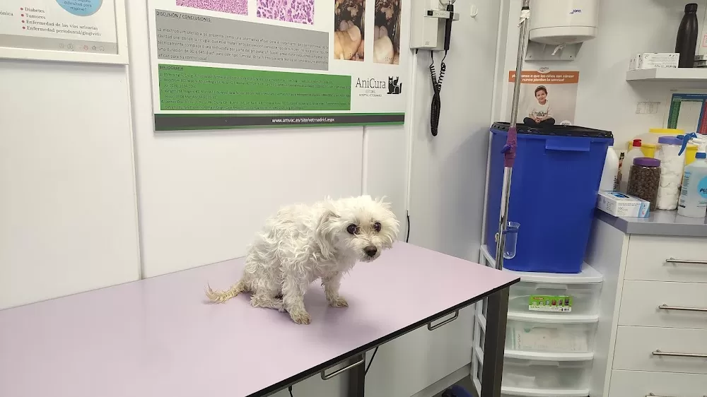 Estoril Veterinary Hospital - Photo 7