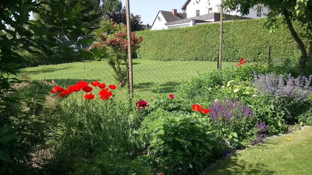 Klinik und Poliklinik für Dermatologie und Allergologie am Biederstein - Photo 6