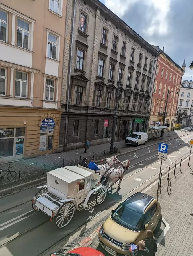 CENTRUM MEDYCZNE SOWA Sp. z o.o. - Photo 4