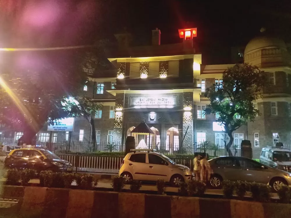 Nowrosjee Wadia Maternity Hospital - Photo 3