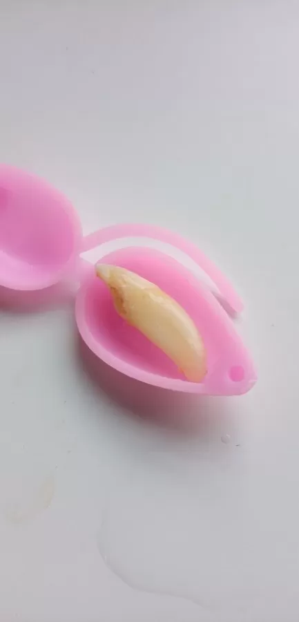 Dental universal - Photo 8