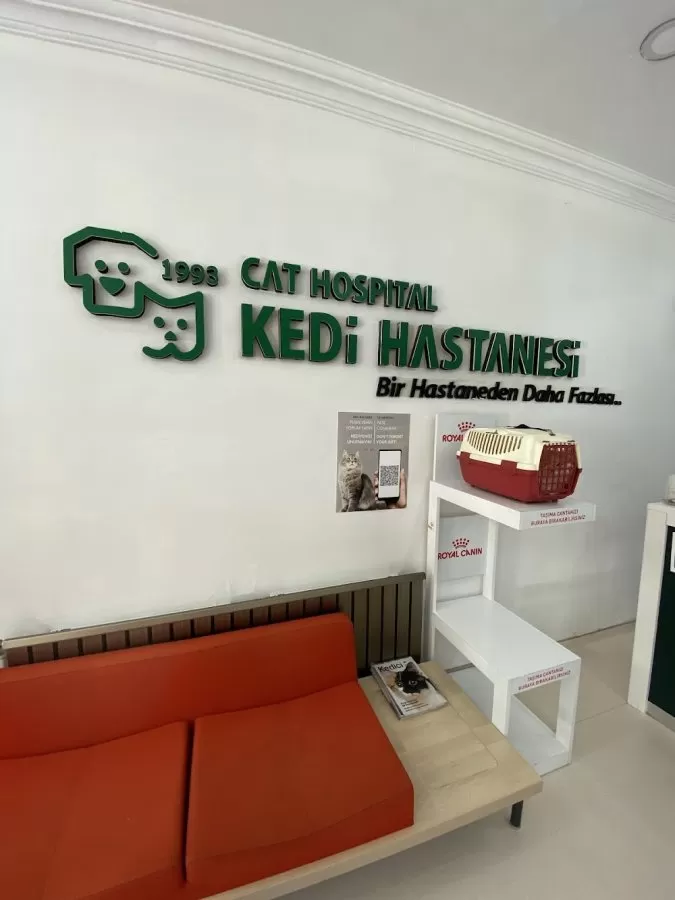 Cat Hospital Kedi Hastanesi - Photo 2