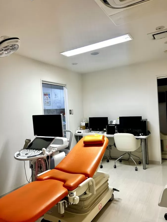 Hiroo Minegishi of Obstetrics and Gynecology - Photo 3