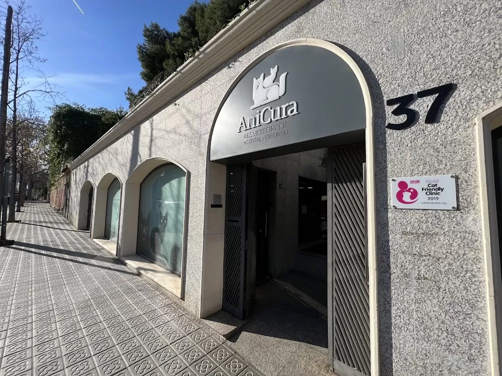 Ars Veterinària SLP - Photo 5
