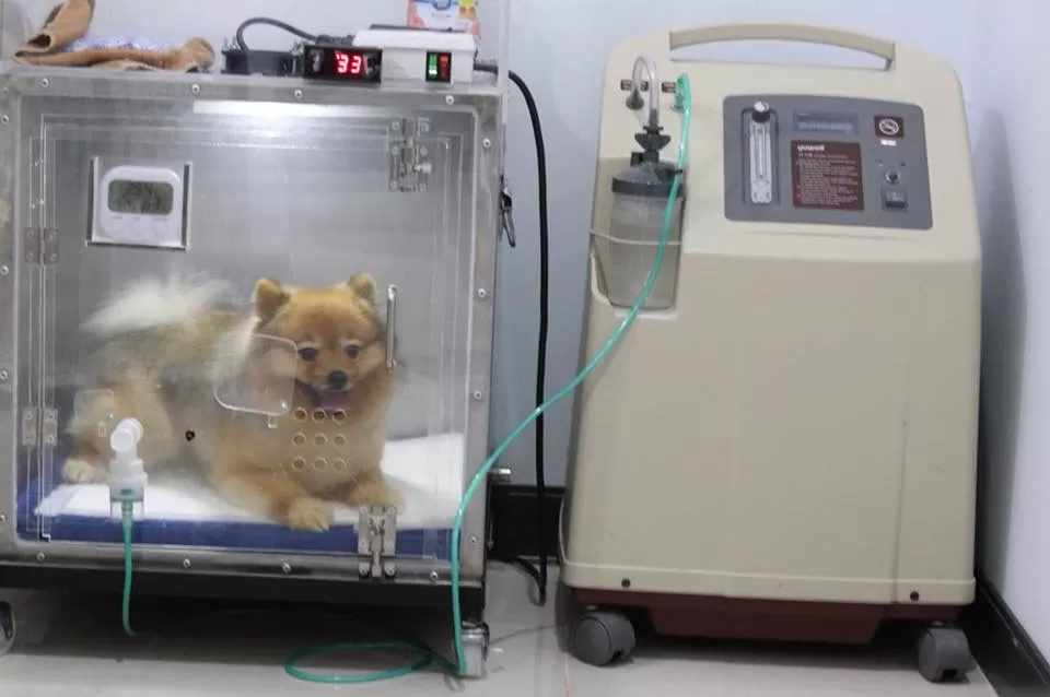 J.P. Animal Hospital - Photo 2
