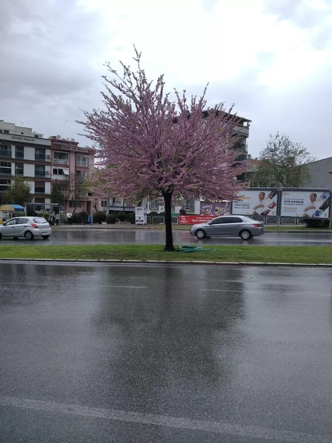 Mavi Deniz Tip Merkezi - Photo 6