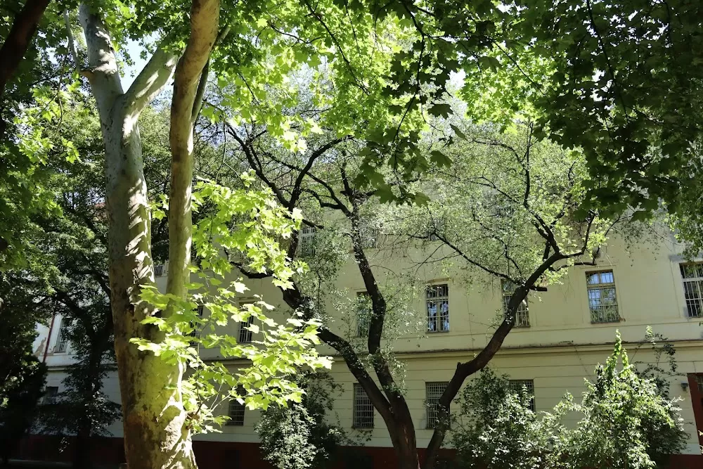 Psychiatric Clinic, 1st Medical Faculty, Charles University - Photo 2