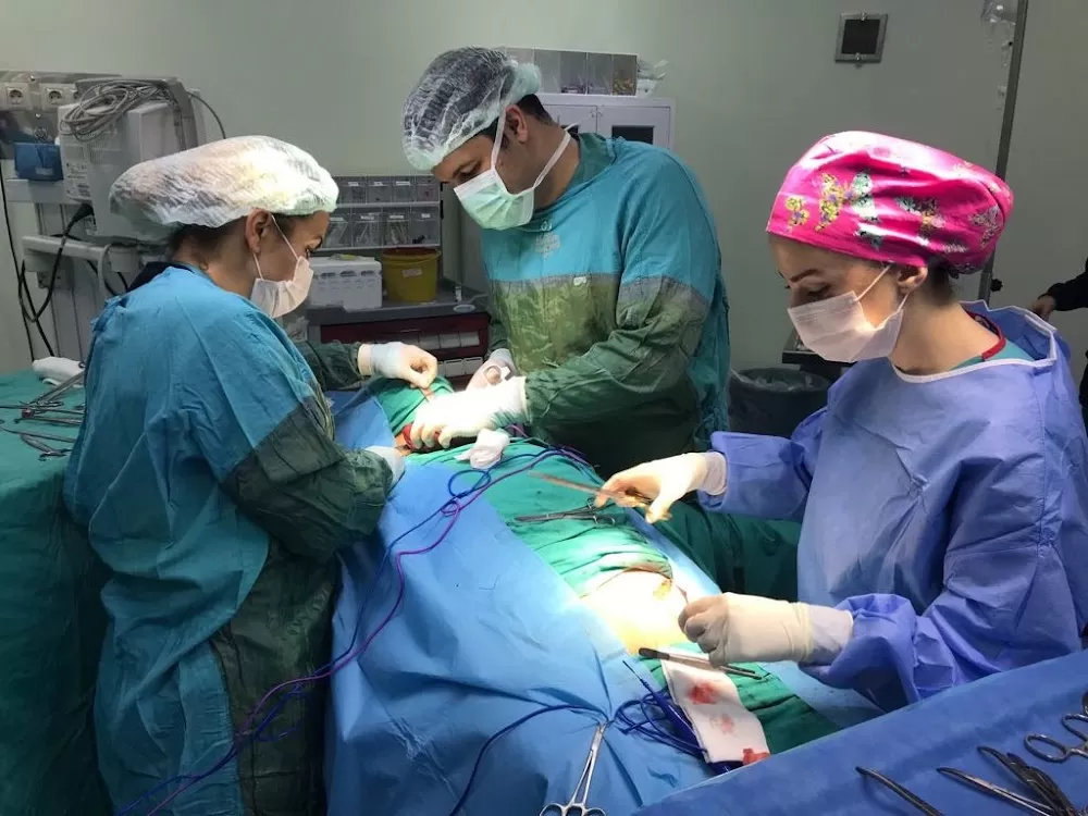 Op.Dr Özgür Türk Genel Cerrahi Uzmanı - Photo 6
