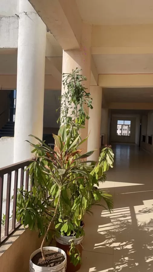 Mahaveer Institute of Medical Sciences and Research - Photo 8