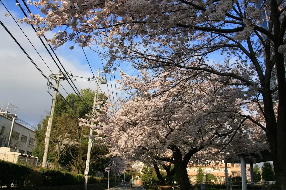 Akishima Hospital - Photo 2