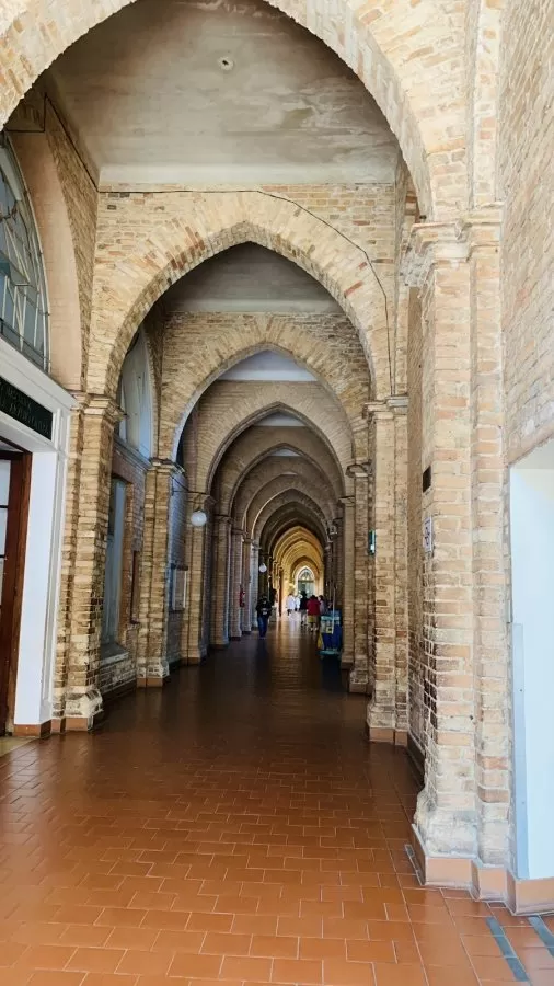 Departamento de Ortopedia e Traumatologia da Santa Casa de São Paulo - Photo 1