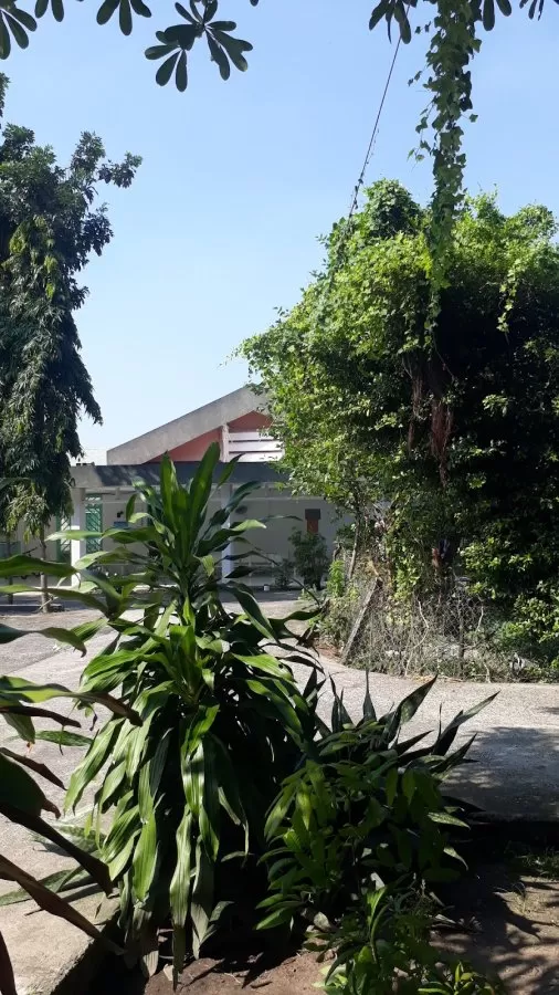 Trung Tâm Điều Dưỡng Người Bệnh Tâm Thần - Photo 4