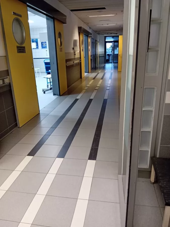 National Institute of Neuroscience - Photo 6