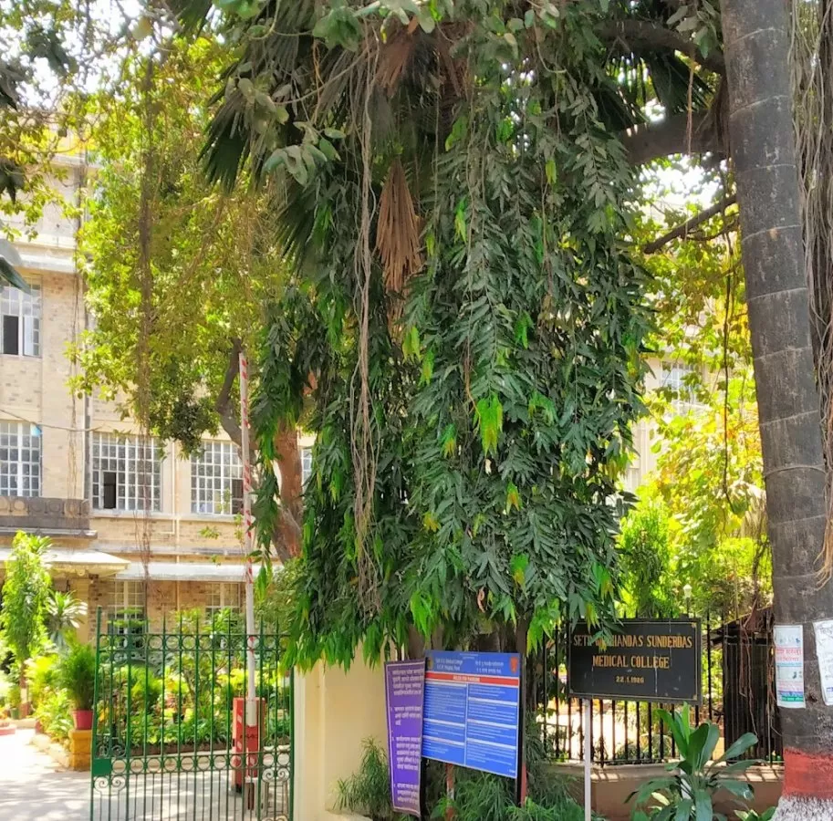 Nowrosjee Wadia Maternity Hospital - Photo 7