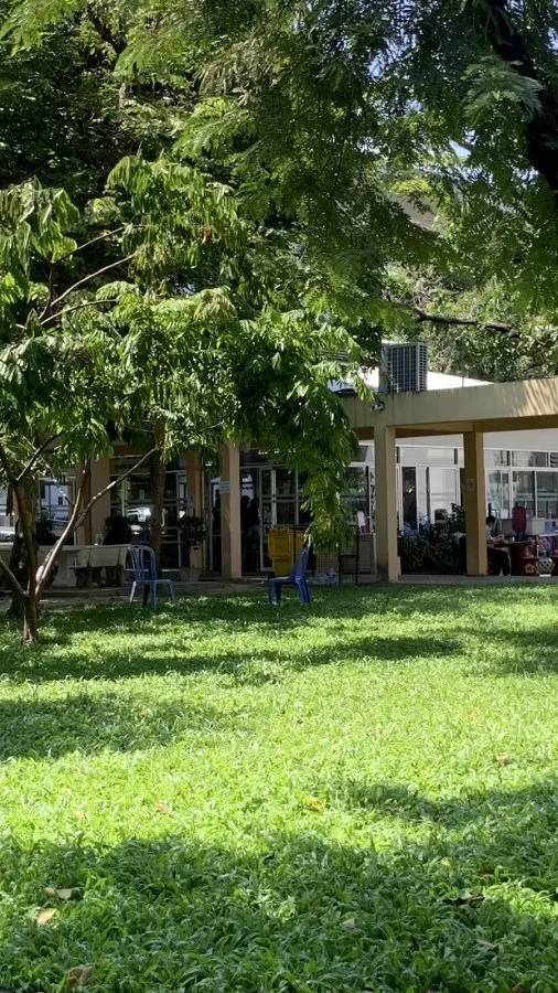 Rajanukul Institute, Department of Mental Health - Photo 4