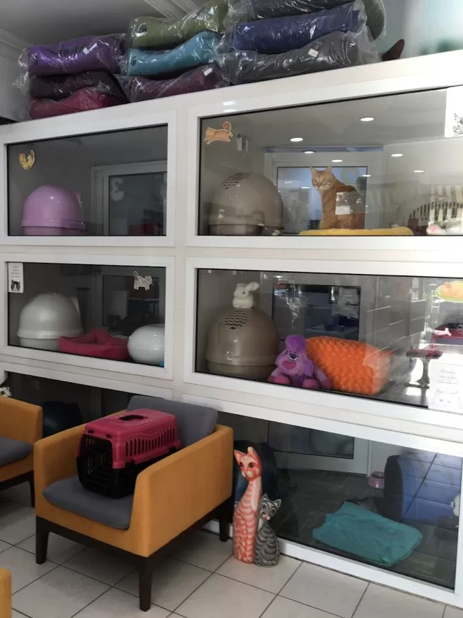 Cat Hospital Kedi Hastanesi - Photo 3