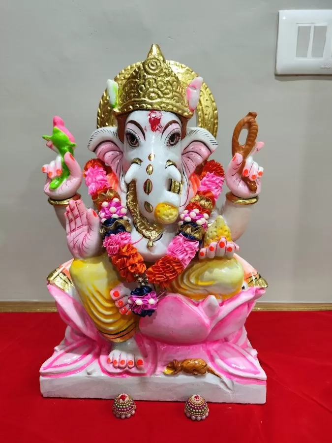 Orange Hospital - DR. Rinku Patel - Photo 3