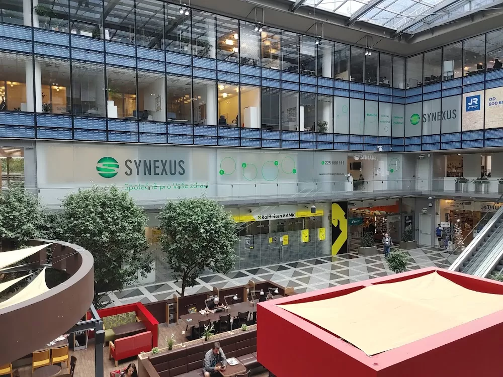 Synexus - Photo 2