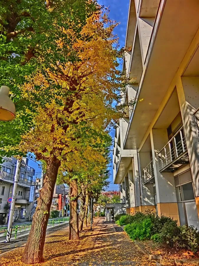 SHOWA Medical University Karasuyama Hospital - Photo 1
