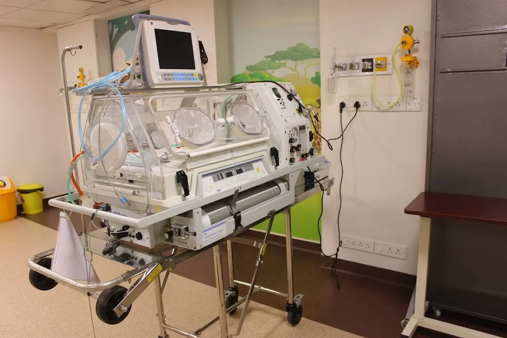 Dr. Vidhya S - Top Obstetrician & Gynecologist in T. Nagar | Cloudnine Hospital - Photo 3