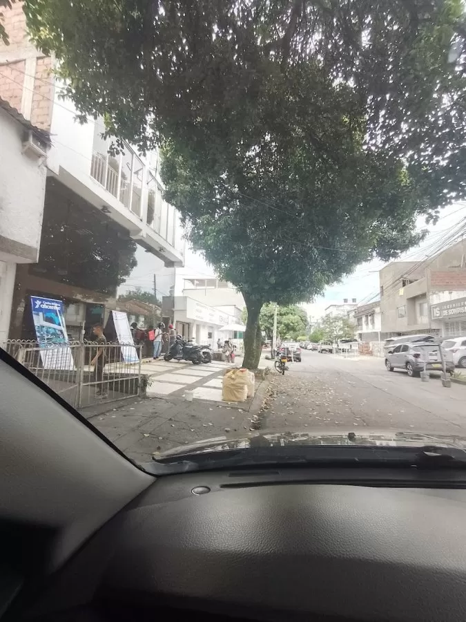 CENVALLE - Photo 7