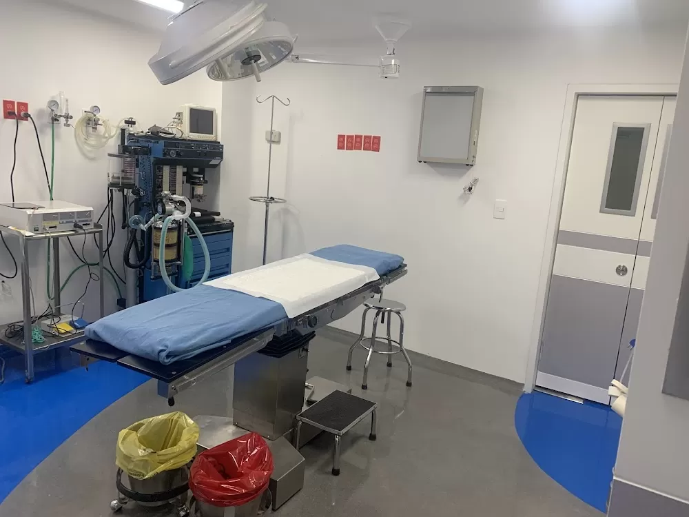 San Angel Medical Clinic - Photo 2