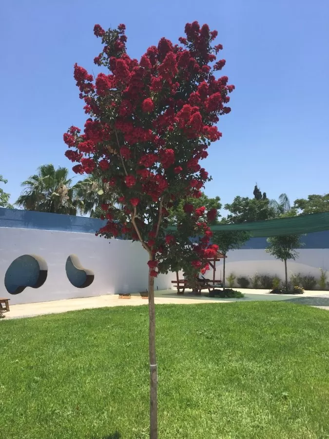 Mental Health Center Lev Hasharon - Photo 4