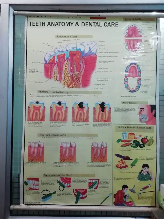 Dhingra Dental Clinic - Photo 2