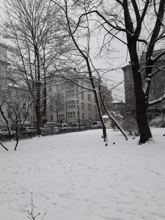 Narodowy Instytut Onkologii im. Marii Skłodowskiej-Curie - Photo 5