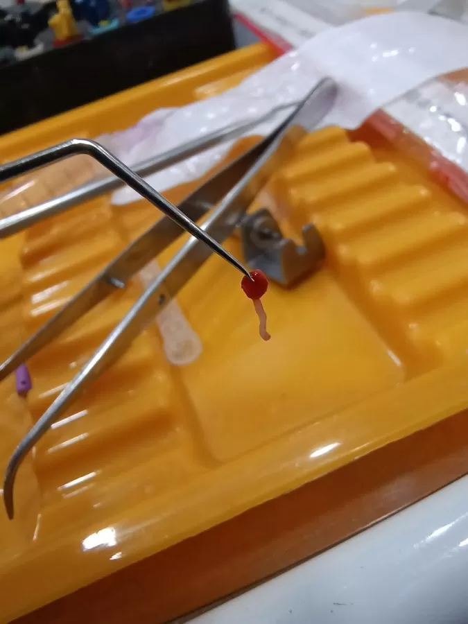 Dr. Katare Dental Clinic - Photo 1