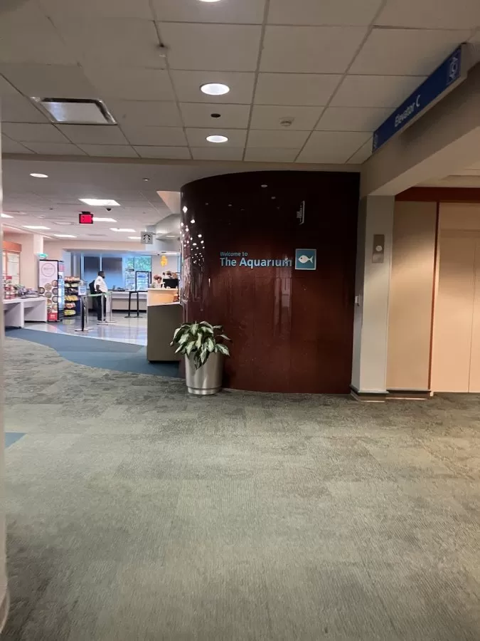 MD Anderson Cancer Center - Photo 5