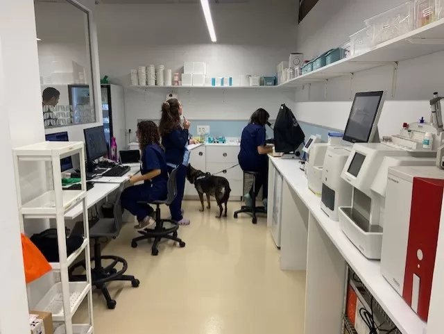 AniCura Glòries Hospital Veterinari - Photo 2
