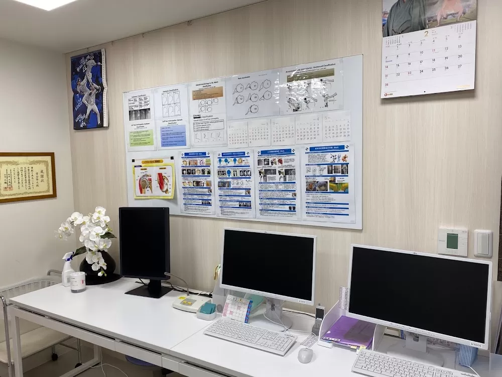 Tokyo Sports & Orthopaedic Clinic - Photo 7