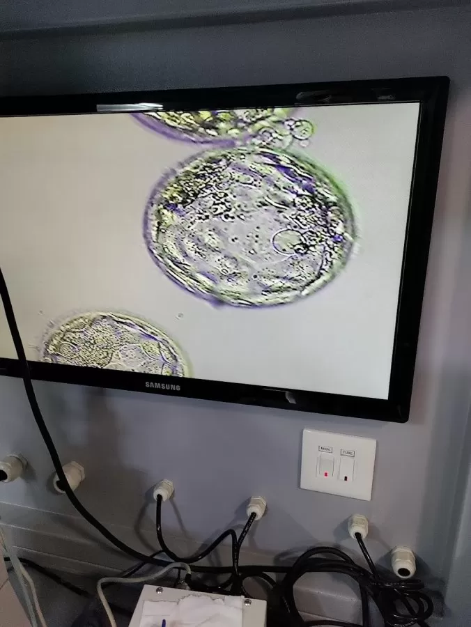 Sumiran IVF Hospital - Photo 5