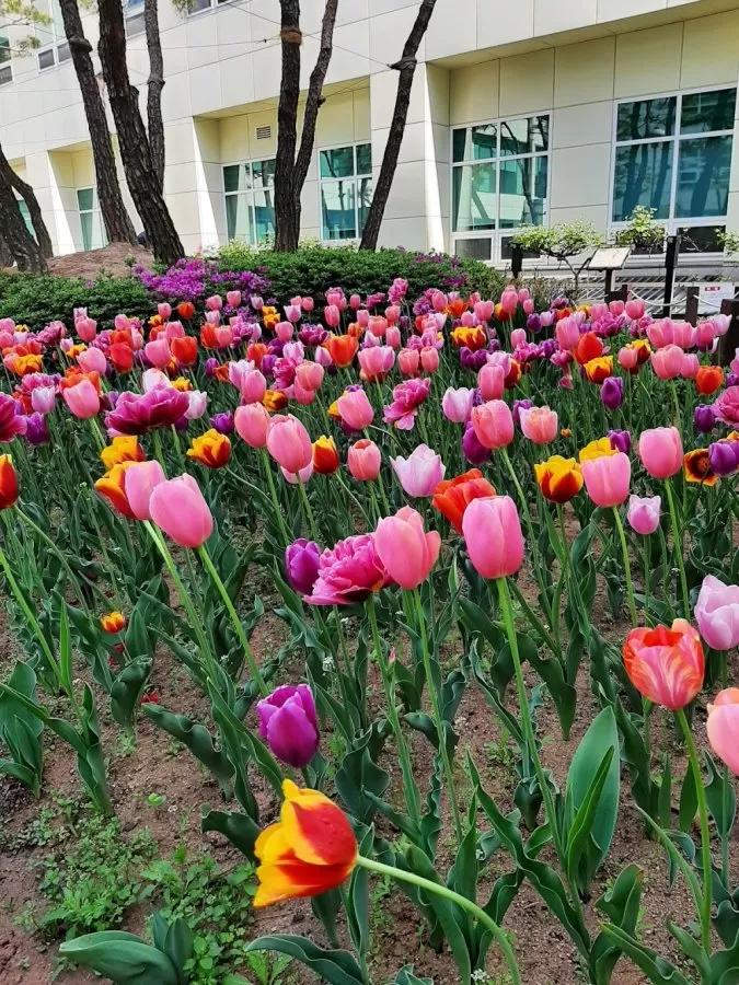 Soonchunhyang University Bucheon Hospital - Photo 7