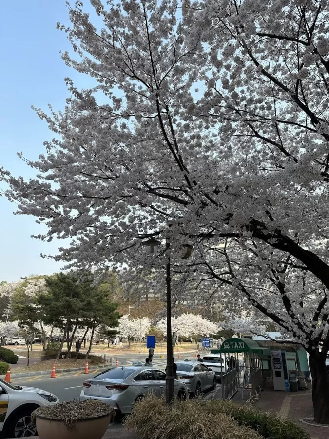 Korea Nuclear Medical Center Nuclear Hospital - Photo 2