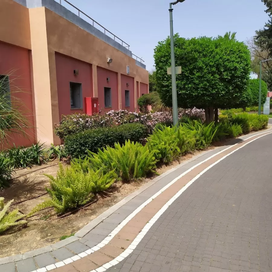 Mental Health Center Lev Hasharon - Photo 7