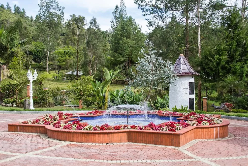 Pinares | Mind & Health - Photo 8