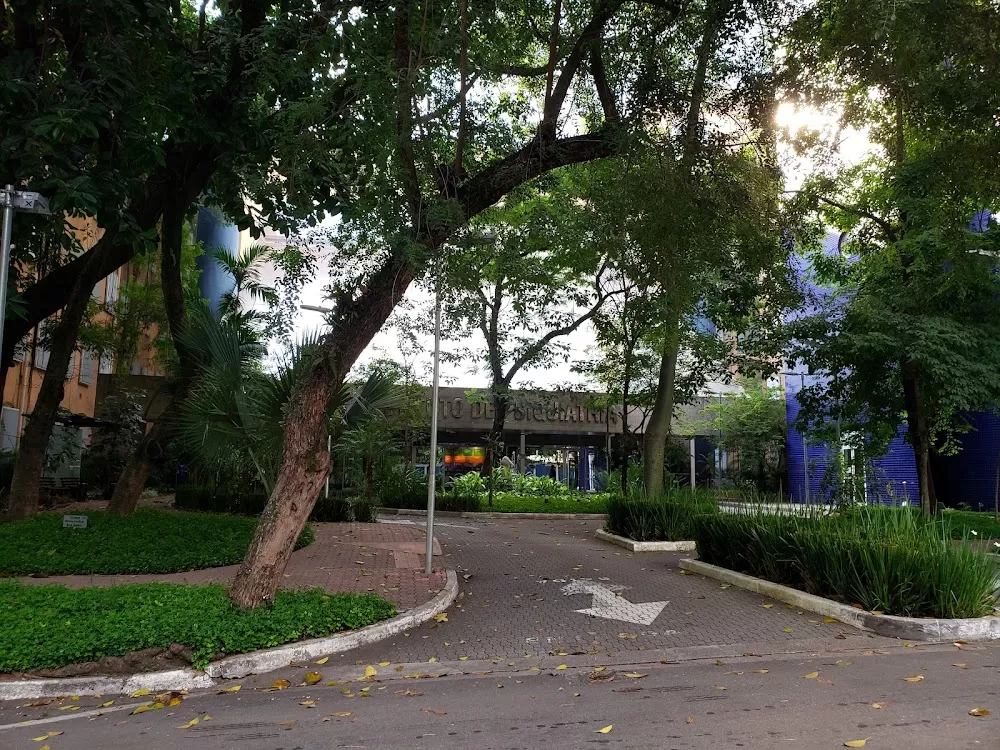 IPq - Instituto de Psiquiatria do Hospital das Clínicas da FMUSP - Photo 5