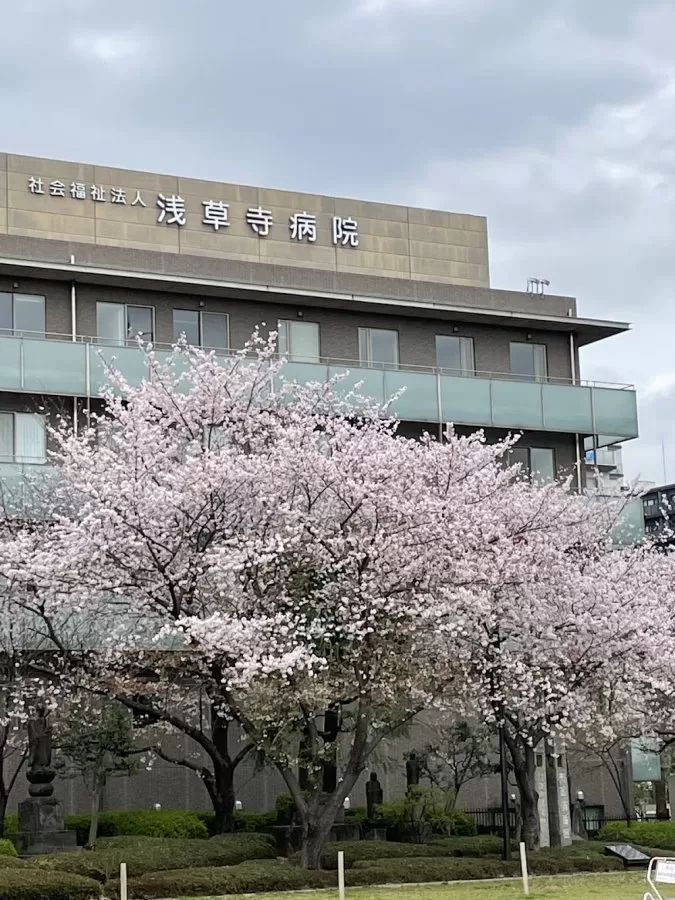 Sensoji Hospital - Photo 6