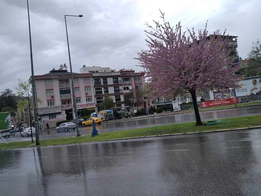 Mavi Deniz Tip Merkezi - Photo 3