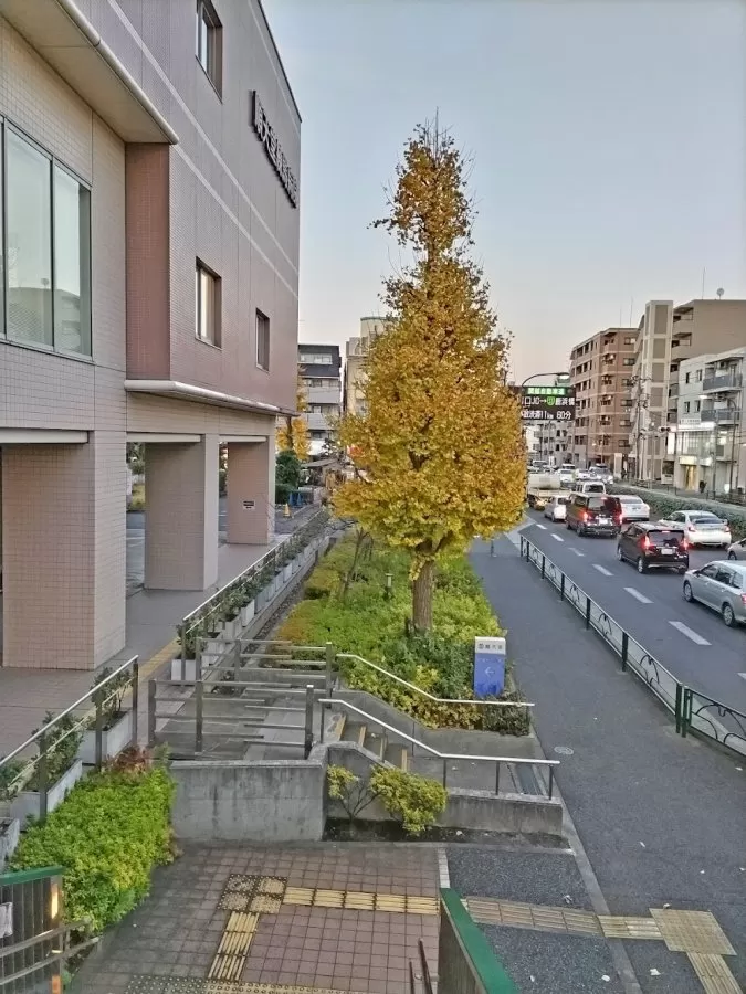 Juntendo University Nerima Hospital - Photo 8